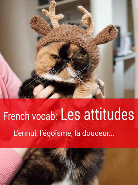 french-vocab-l'attitude