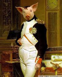 french pig napoleon french napolon