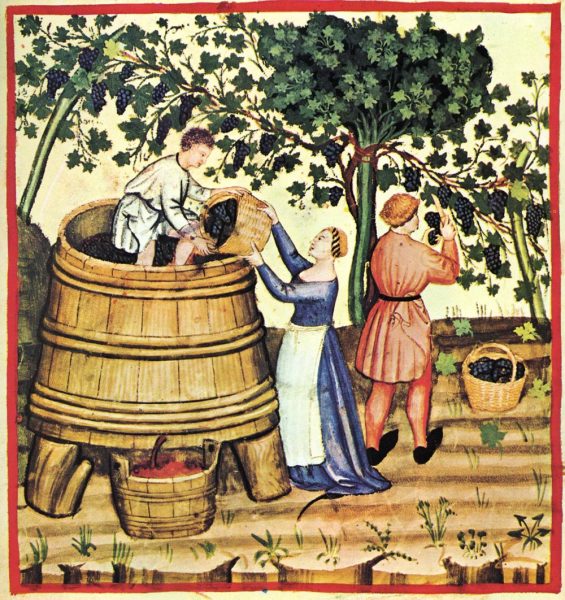 wine tradition wine tradition