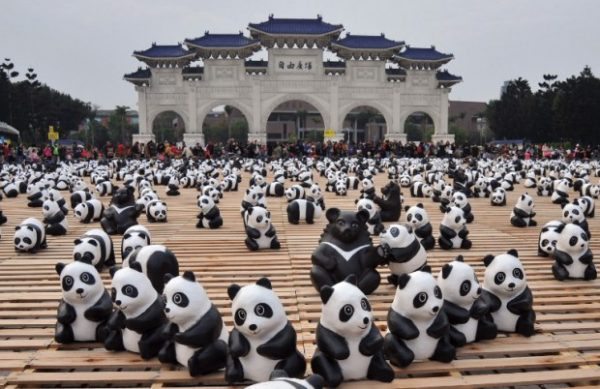 panda taiwan panda taiwan