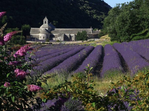 Abbaye de Sénanque