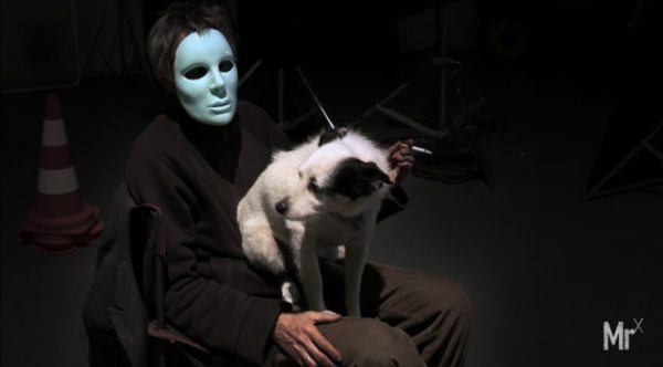 Mr leos caraX Mr leos caraX