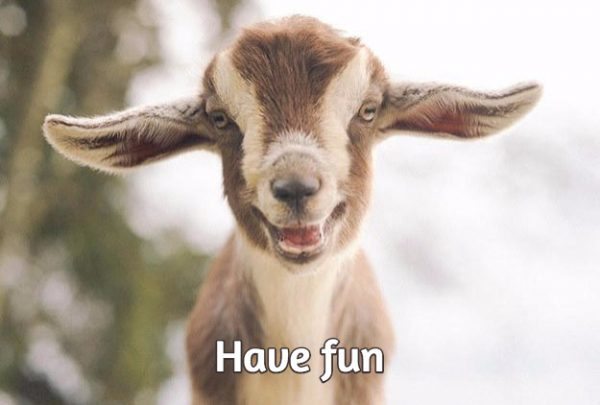 have fun talk in french have fun