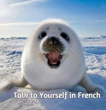 talk to yourself in french talk in french