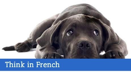 think in french talk in french think in french