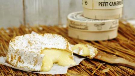 camembert cheese