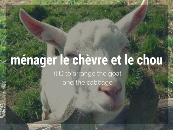 menager le chevre et le chou