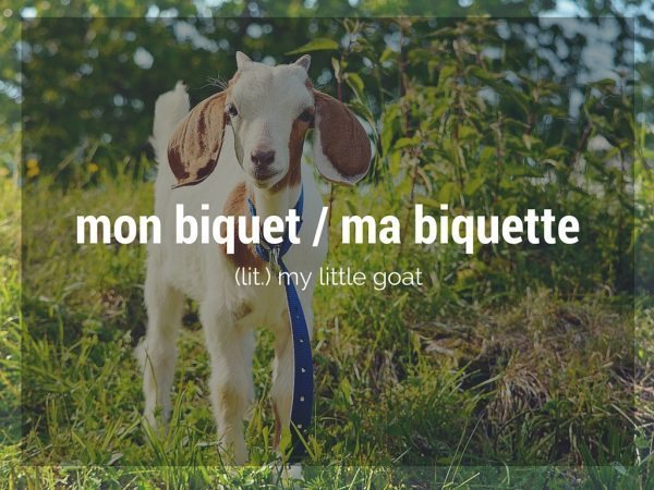 mon biquet/ma biquette