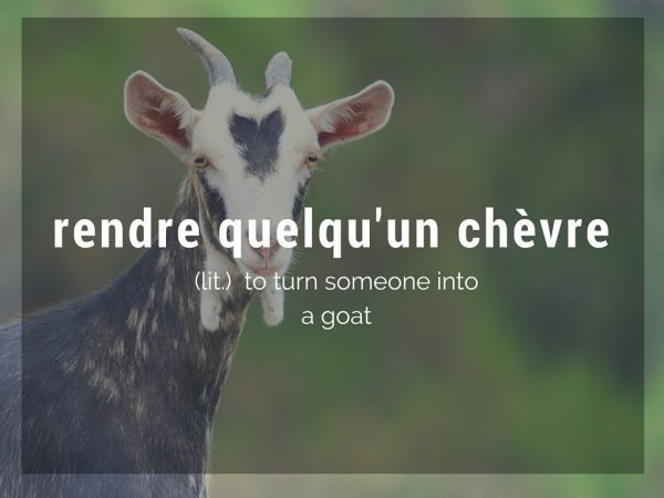 rendre quelqu'um chevre