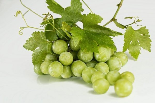 grappe grappe