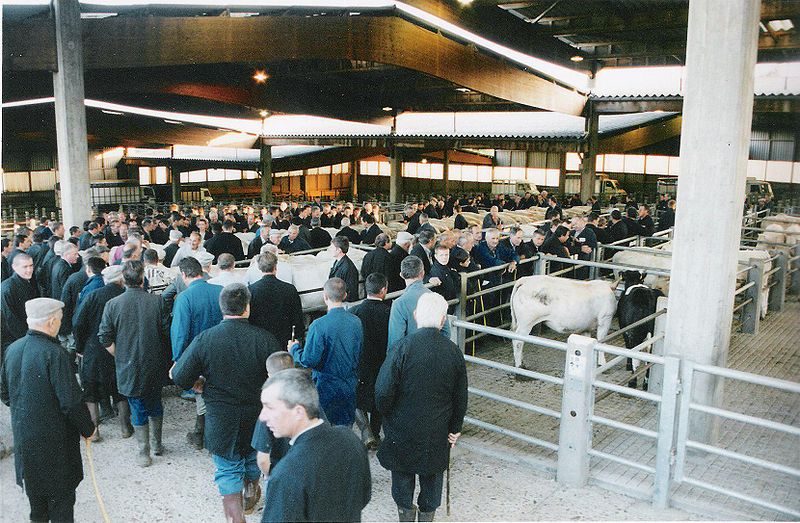 livestock market