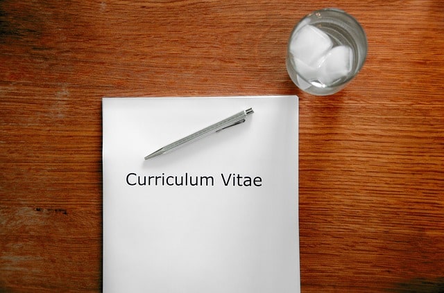 french job interview_curriculum vitae Curriculum Vitae
