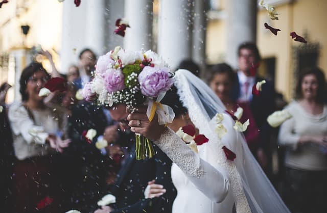 french wedding confetti