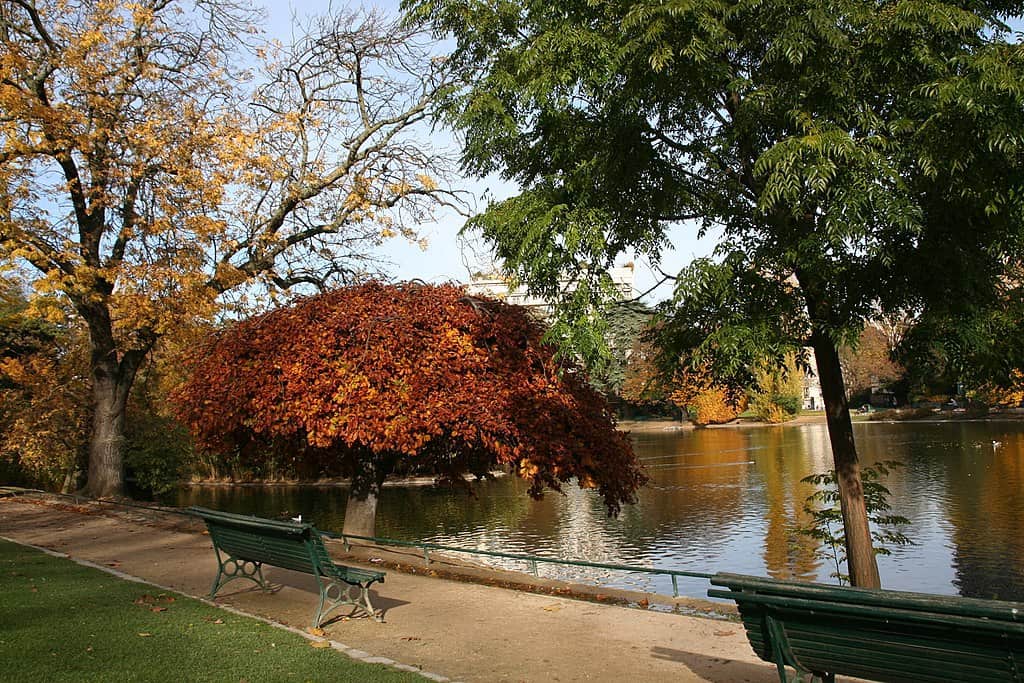 Parc Montsouris